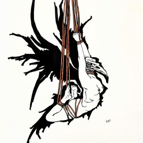 shadowwings by ursula aavasalu tigukass