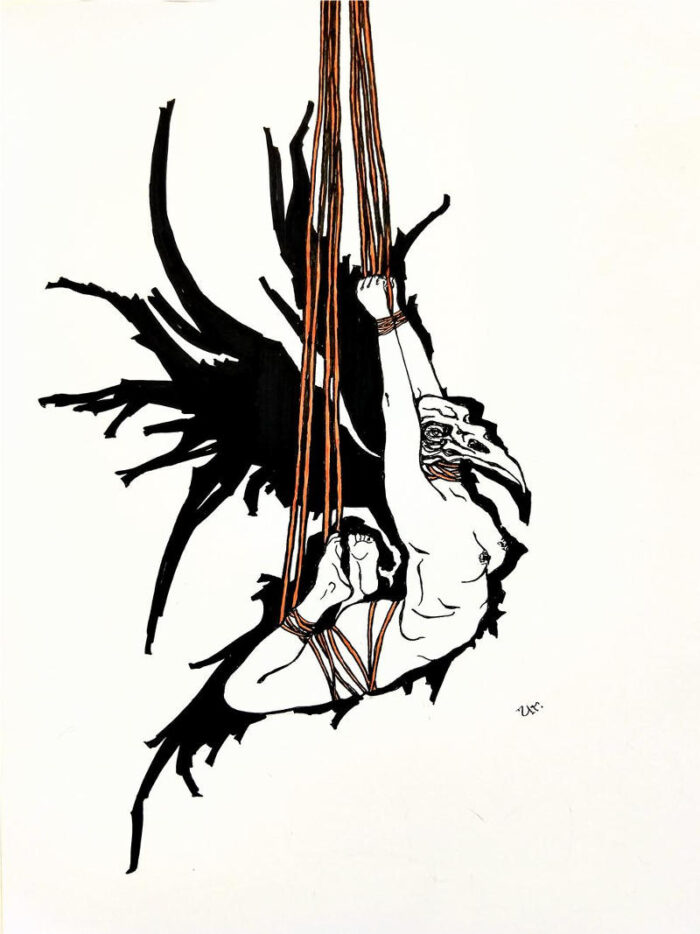 shadowwings by ursula aavasalu tigukass