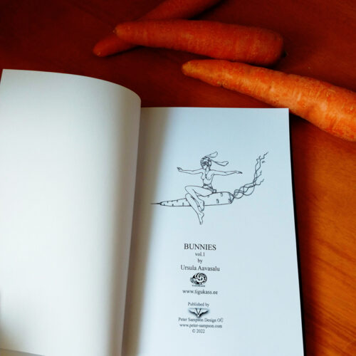 bunny notebook title page by ursula aavasalu tigukass