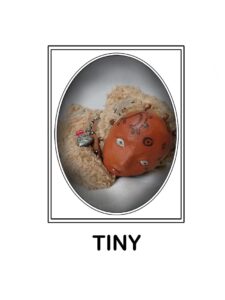 Tiny doll portrait ursula aavasalu tigukass