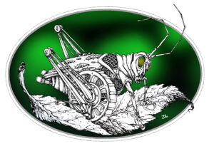 grass hopper belt drive oval